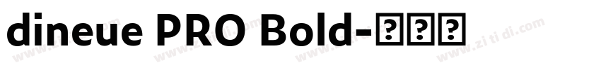 dineue PRO Bold字体转换